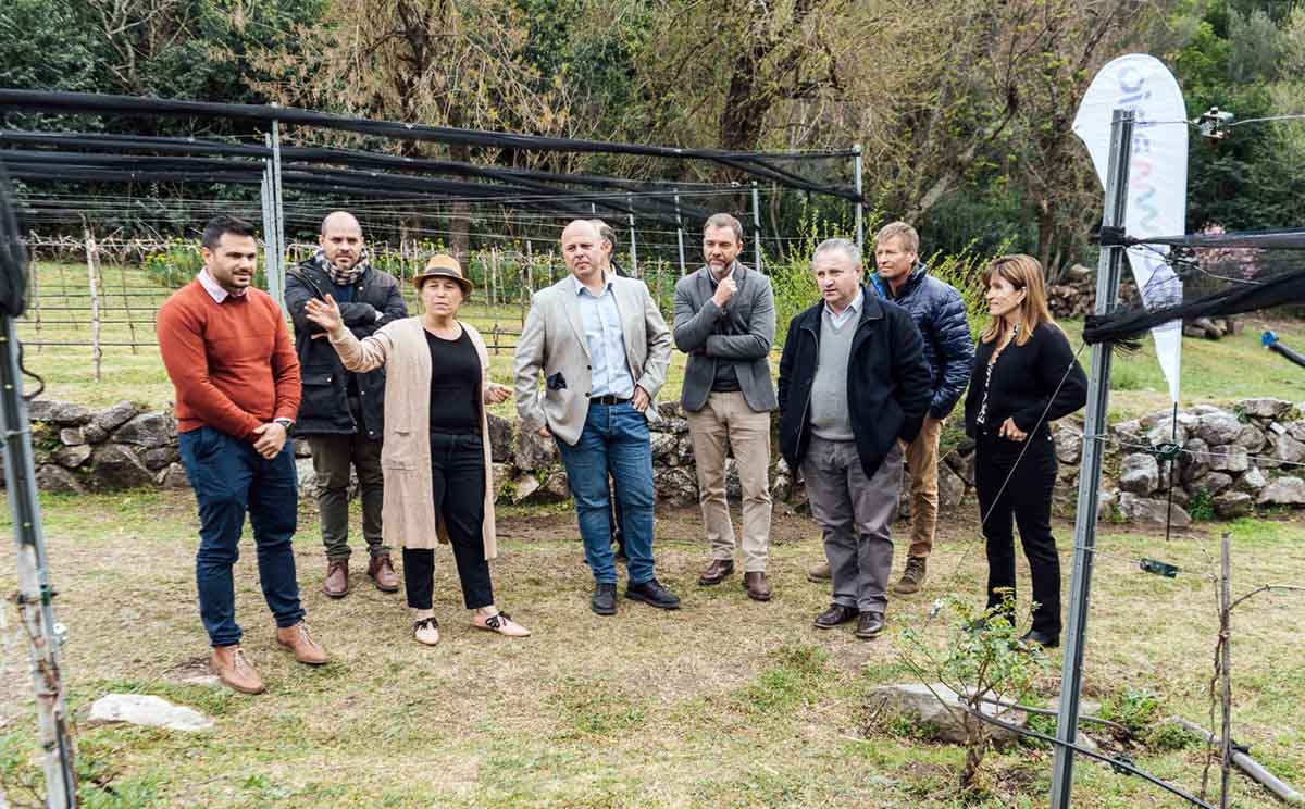 Presentaron tratamiento de semilla que reduce el estrés climático en las plantas